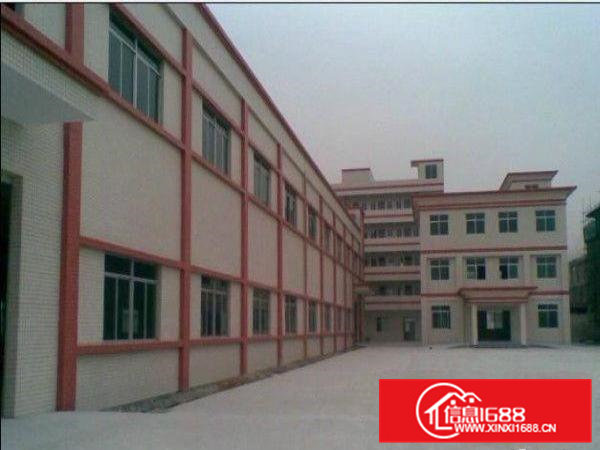 东莞横沥新出独院标准厂房5000平方出租带地坪漆