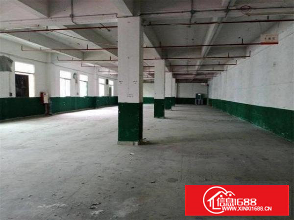 超低价，新空出塘厦工业园旁，楼上1000平，带现成办公室