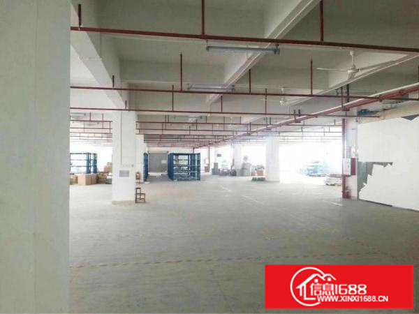 惠阳秋长单一层厂房，带红本消防