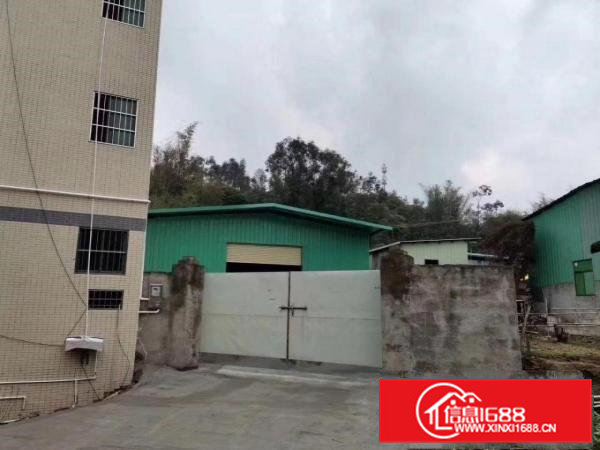 出租|大岭山杨屋国道边新出原房东独门独院400平米钢结构厂房