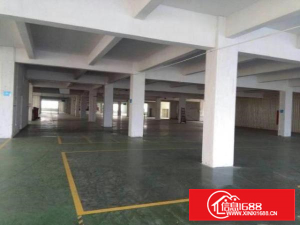 万江标准1-3层厂房3000平方米出租