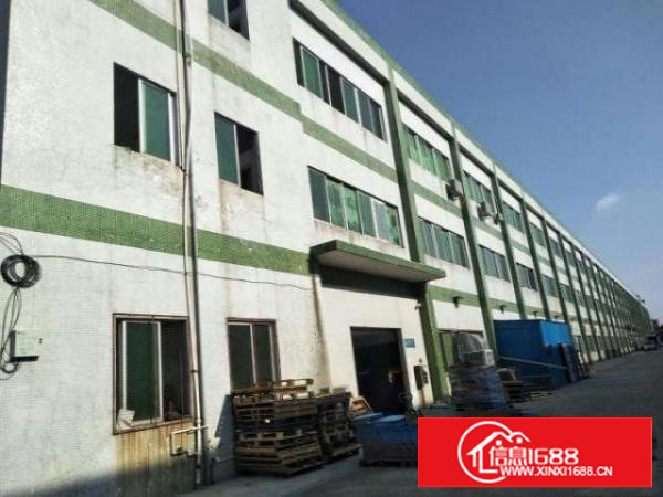 万江简沙洲标准一楼900平米出租;适合多种行业现成办公室修