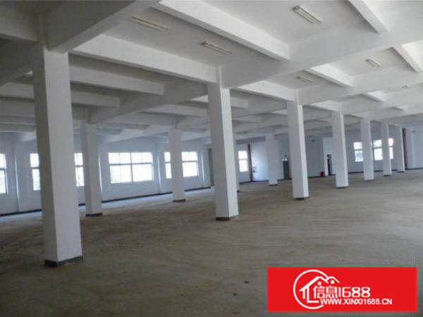 横沥水边一楼原房东600平米标准厂房急租