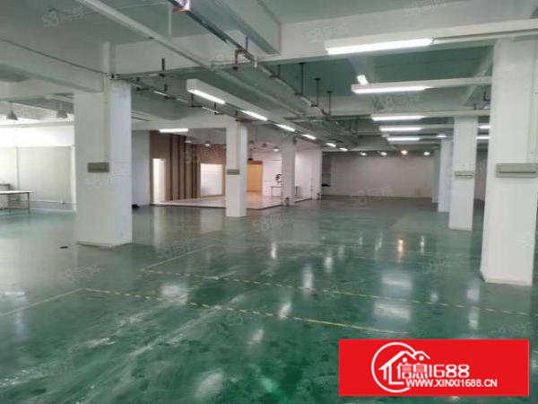 塘厦镇标准厂房1300平精装修地坪漆水电到车间现成办公室