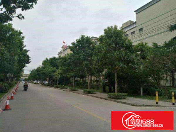 凤岗雁田原房东新出金典独院2981平厂房出租