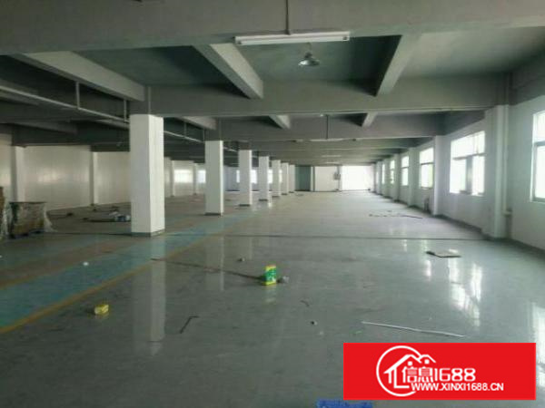 清溪镇三中原房东二楼带装修好办公室地平漆2600平出租