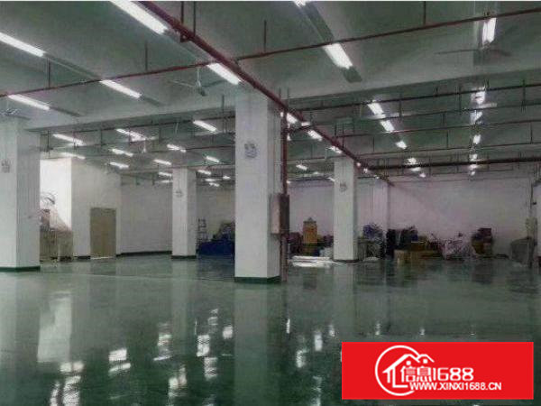 常平还珠沥新出标准小独院3600平厂房招租