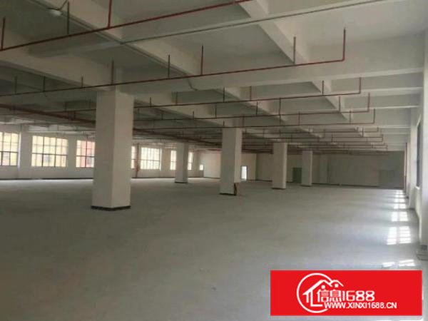 凤岗官井头全新独门独院厂房，一楼3200平。可办环评