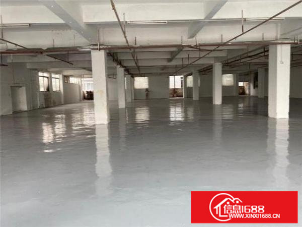 原物业工业厂房一楼1500，空地大可进大车，300起分组