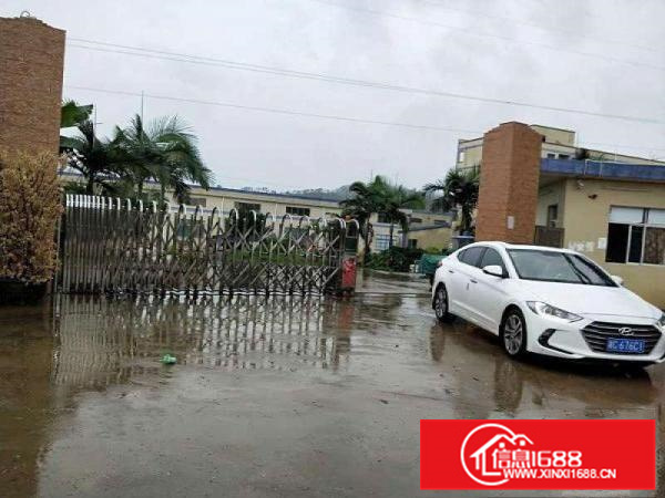 新墟原房东0公摊15000钢构独院，可分租