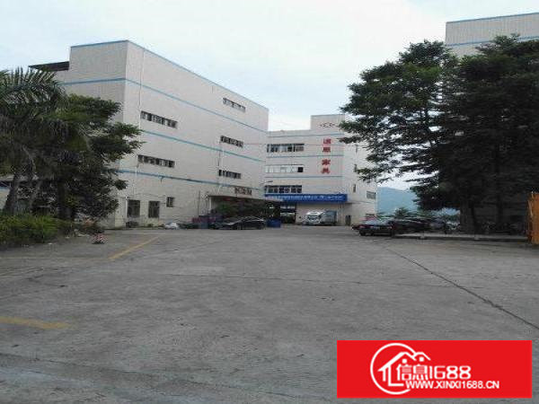 坪山碧岭厂房3楼1800平米出租独立电梯带红本