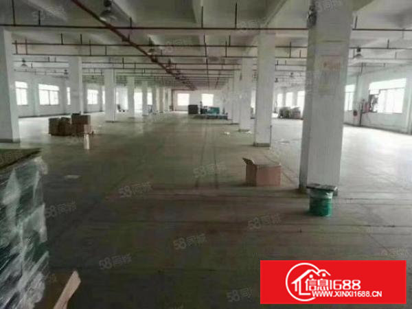 整租19元清溪小独院厂房出租6000平可分租适合各行业