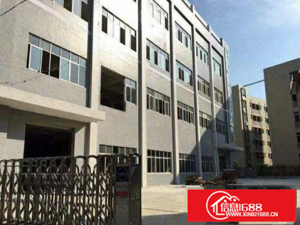 有装修.有装修.有装修.坪山三洋湖一楼300平厂房