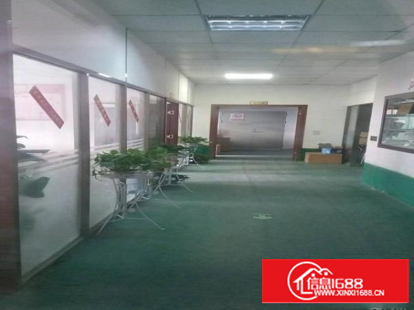 真实房源龙东三楼标准厂房700平方出租带电梯15元