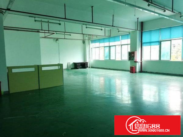 坪山生物医疗器械行业厂房出租有红本可办环评可开票