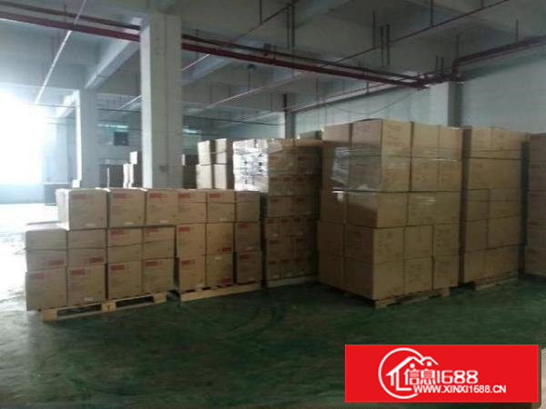 标准厂房一楼！层高6米