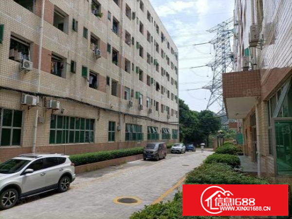 长龙1200平方厂房出租