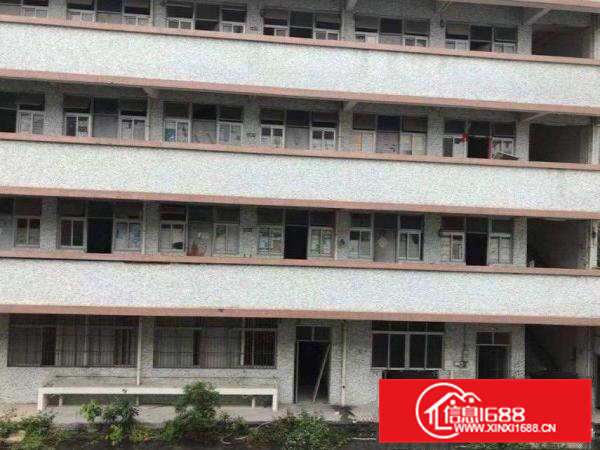 镇隆独门独院三层每层2000方整栋出租可分租