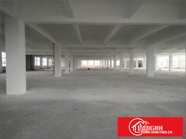 均安楼层1000到6000方可环评带消防喷淋形像好