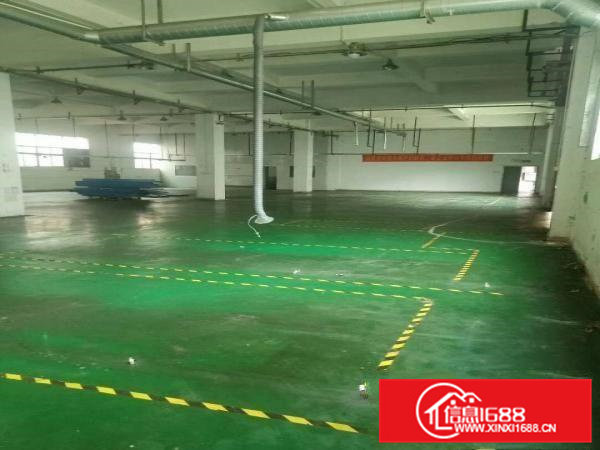 大朗洋坑塘工业区一楼厂房600到1200平出租。价格优惠