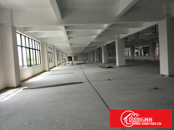 东莞塘清凤交接处、全新7层厂房火热招租、