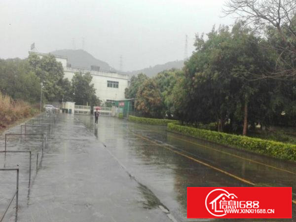 重型厂房9米高一楼车间/超大空地厂房业主直接出租