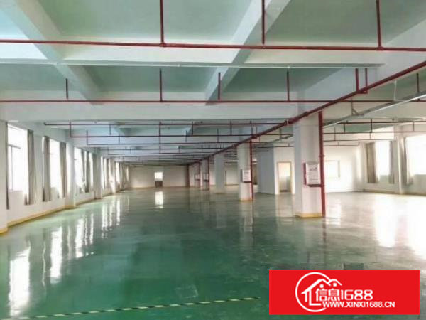 大岭山镇高速出囗原房东可办环评独院厂房出租