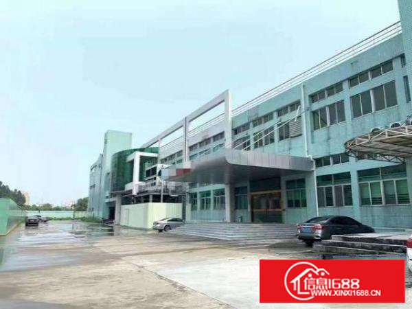 （出租）长安厦岗楼上480平厂房水电齐全带装修