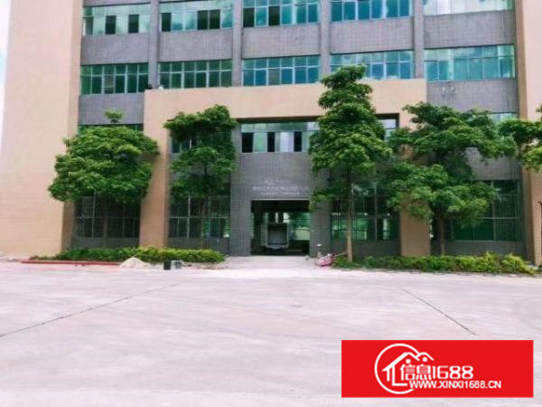 石龙仔工业区新空出一楼带牛角厂房