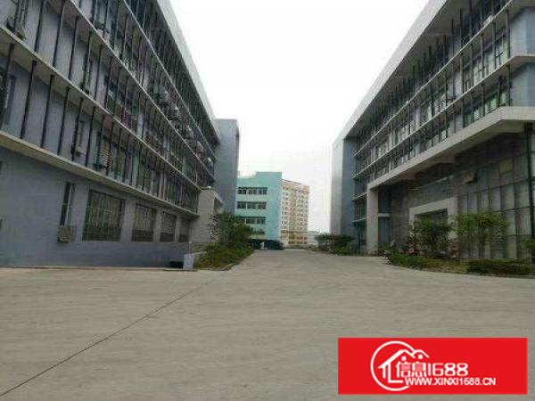 出租)仲恺高新区、单层3600平、带办公室装修、