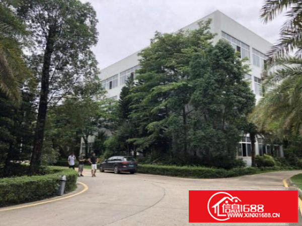 南联新出整层1800平方厂房招租精装修办公室和地坪漆