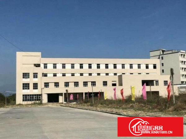 镇隆镇高田村全新红本厂房:厂房一楼层高5米