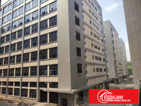 桥头10万平全新红本厂房出租分租500平起租可办环评