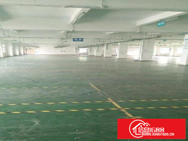 龙岗中心城爱联嶂背独院厂房出租4900平米可分租