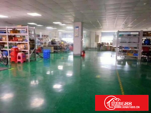 清溪镇新出精装修厂房