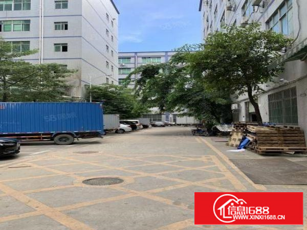 坂田上雪科技城楼上1000平招租