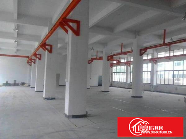 凤岗标准一楼厂房1000至3000平方出租