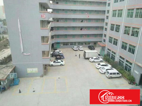 凤岗全新6.5高一楼2850平方直租