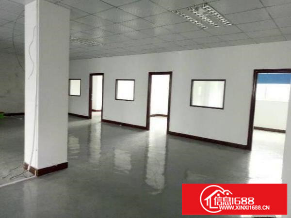 龙岗龙东工业园600平带装修厂房出租有货梯