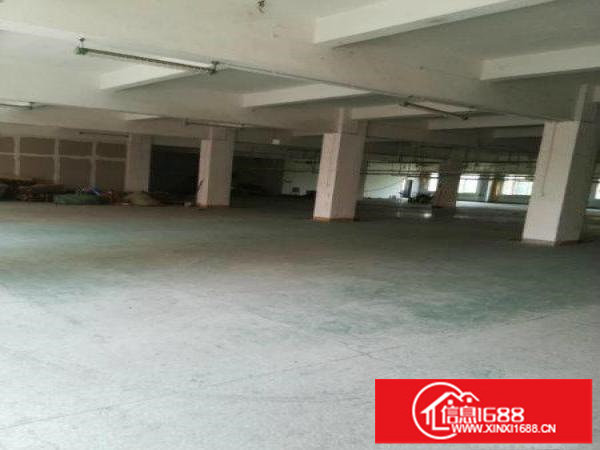 原房东！南联社区大型工业园1万平（无公摊）招租