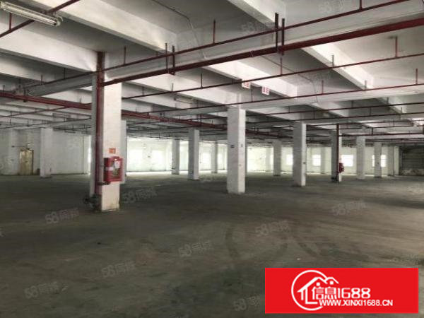 布吉丹竹头一楼2760平方，可分一半。配送加工电子仓库等