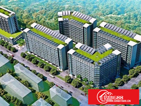 出租龙岗区坪地国际低碳城标准厂房环境优雅租金便宜