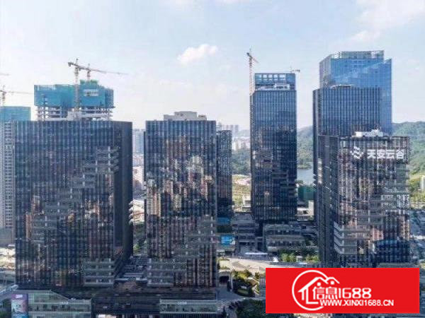 坂田天安云谷写字楼1000平米一手免中介费