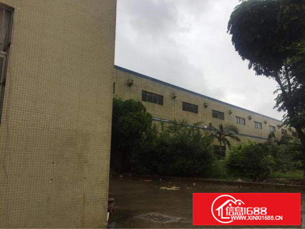 惠阳秋长岭湖新出独栋钢构厂房面积2000平