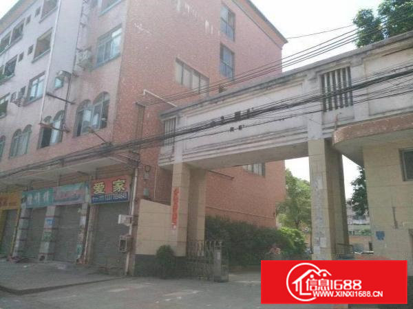 高埗镇独院标准厂房12000平大小可分租