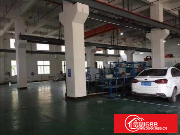 原房东低价厂房出租！清溪三星村无公摊带牛角一楼1800平方