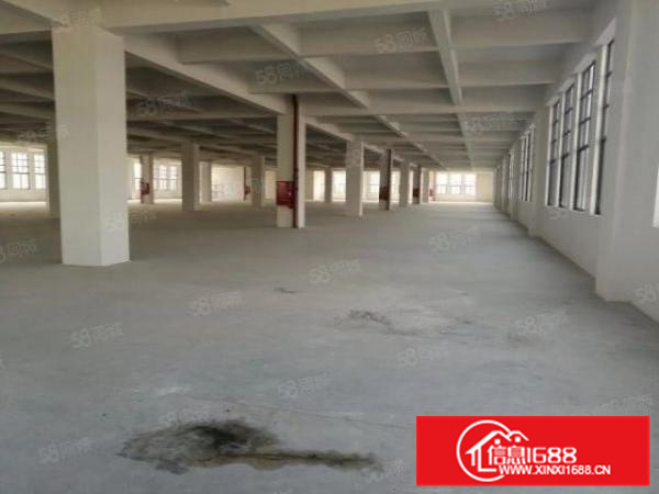 一千方起分租,乐从镇原房东独院独栋标准厂房出租(可办环评)