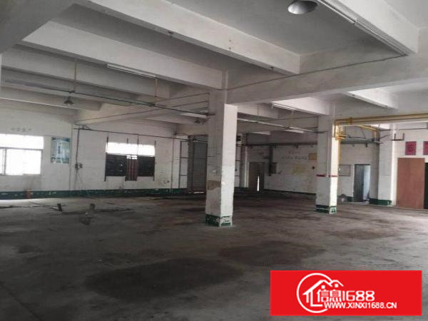 凤岗新出原房东！原房东一楼出租！1700平。可分租