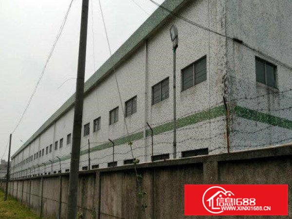 常平苏坑独院钢构厂房2000平方出租，水电齐全