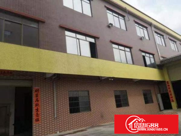 横沥原房东的带全部装修工业厂房3150平宿舍981平出租